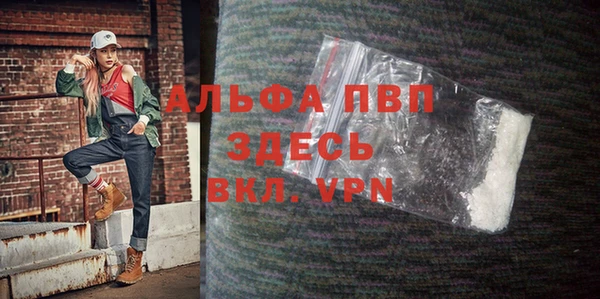 стаф Белокуриха