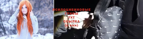 гашик Беломорск