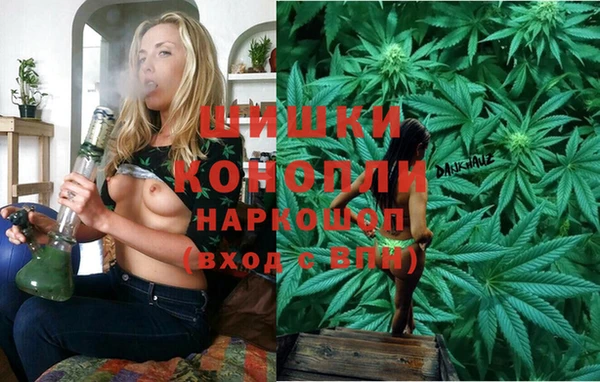 каннабис Новозыбков
