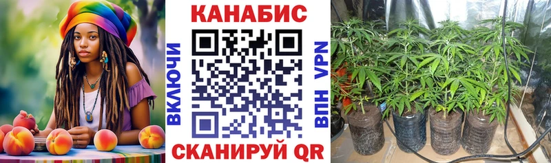 Бошки марихуана White Widow Шагонар
